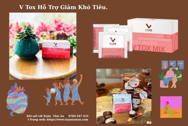 Sản Phẩm V Tox – Giải Pháp Thanh Lọc Tự Nhiên, An Toàn Từ Thảo Dược Quý Hiếm